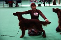 Crufts2011 645